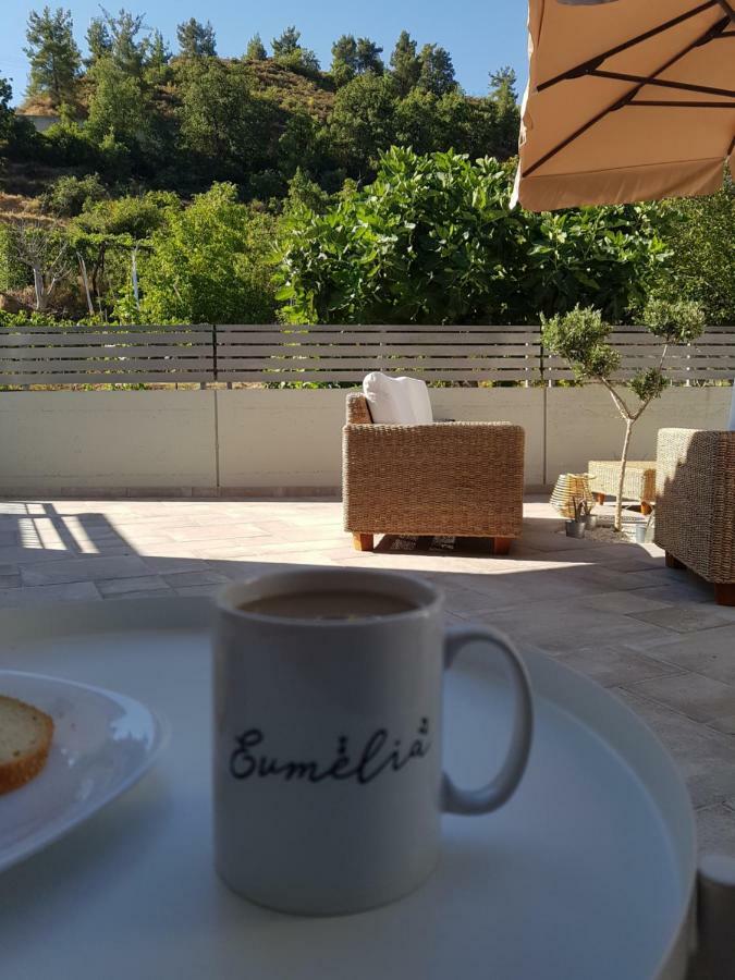 Evmelia Kakopetria Suites Εξωτερικό φωτογραφία